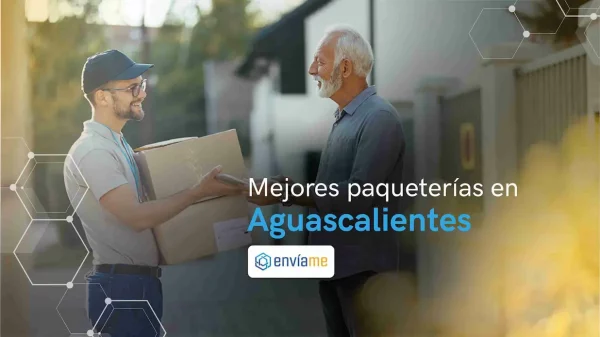 Las 7 mejores paqueterías en Aguascalientes [2024]
