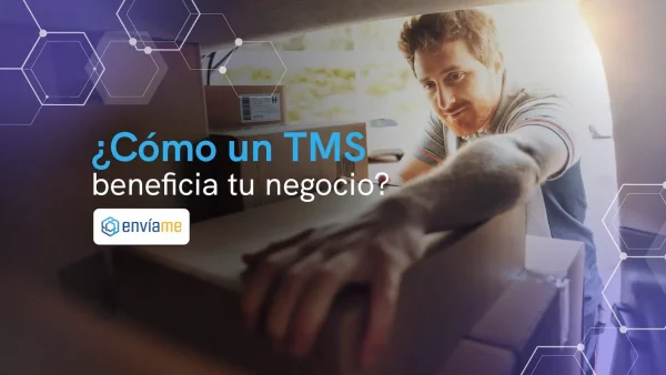 Sistema TMS: ¿Qué es y para qué sirve?