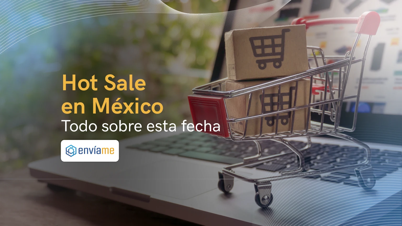 Conductor entregando paquetes en México